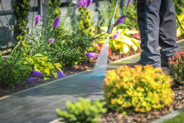 Best Pool Deck Cleaning  in Garden Grove, CA